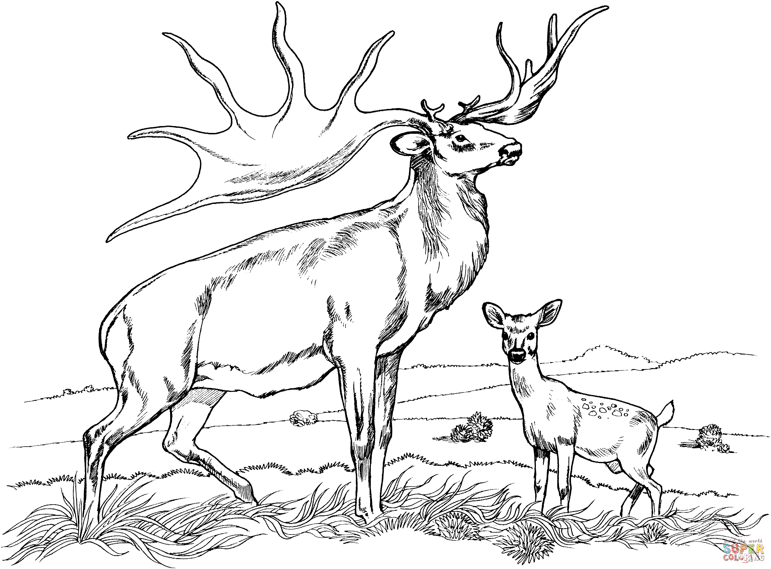Elk coloring #19, Download drawings