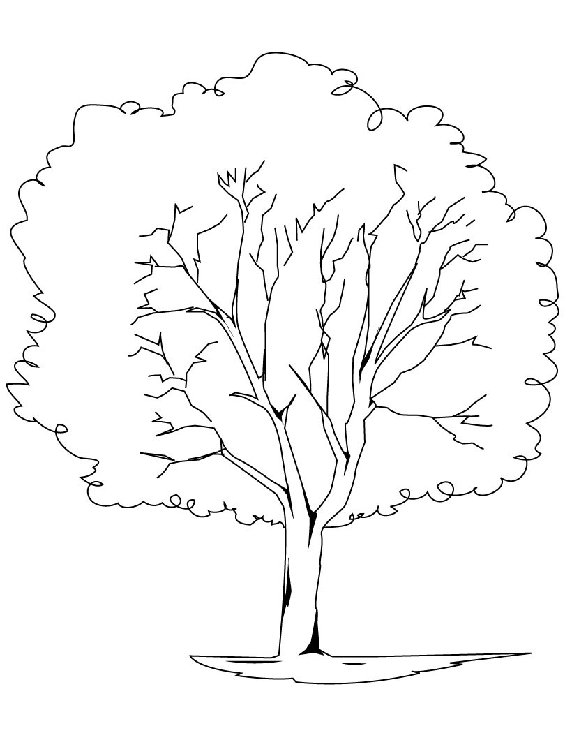 Elm Tree coloring #10, Download drawings