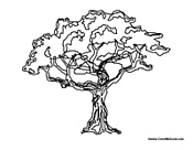 Elm Tree coloring #5, Download drawings
