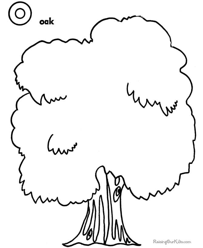Elm Tree coloring #20, Download drawings