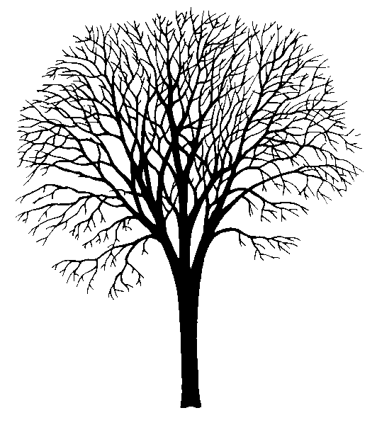 Elm Tree svg #16, Download drawings