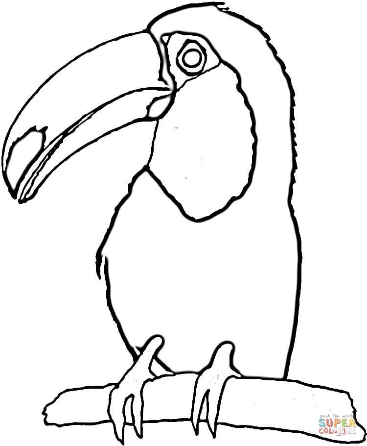 Toucan coloring #12, Download drawings