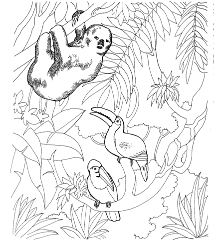 Toco Toucan coloring #19, Download drawings