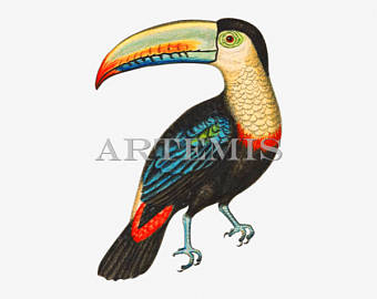 Emerald Toucanet svg #16, Download drawings