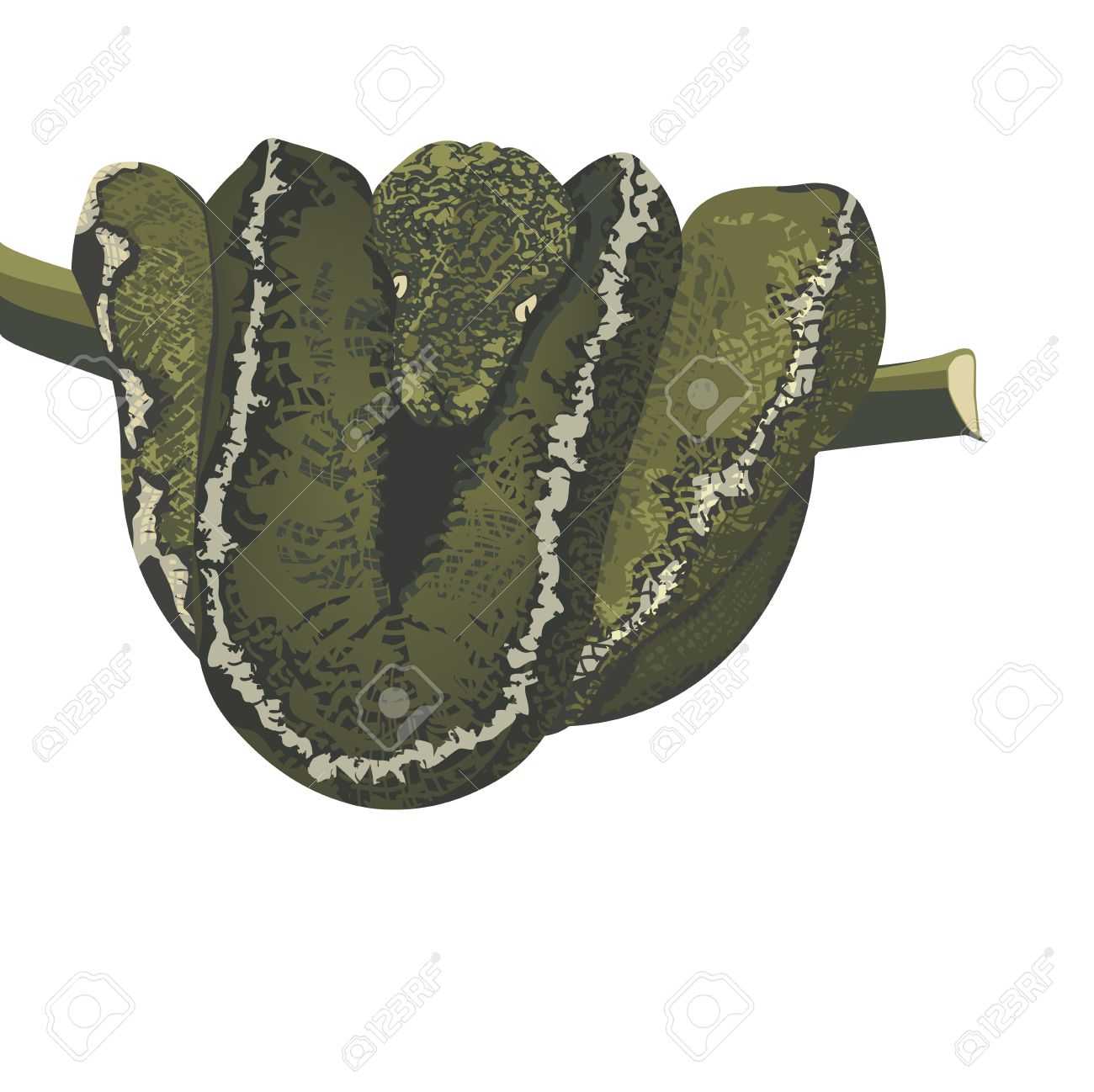 Emerald Tree Boa clipart #20, Download drawings