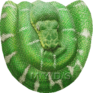 Emerald Tree Boa clipart #16, Download drawings