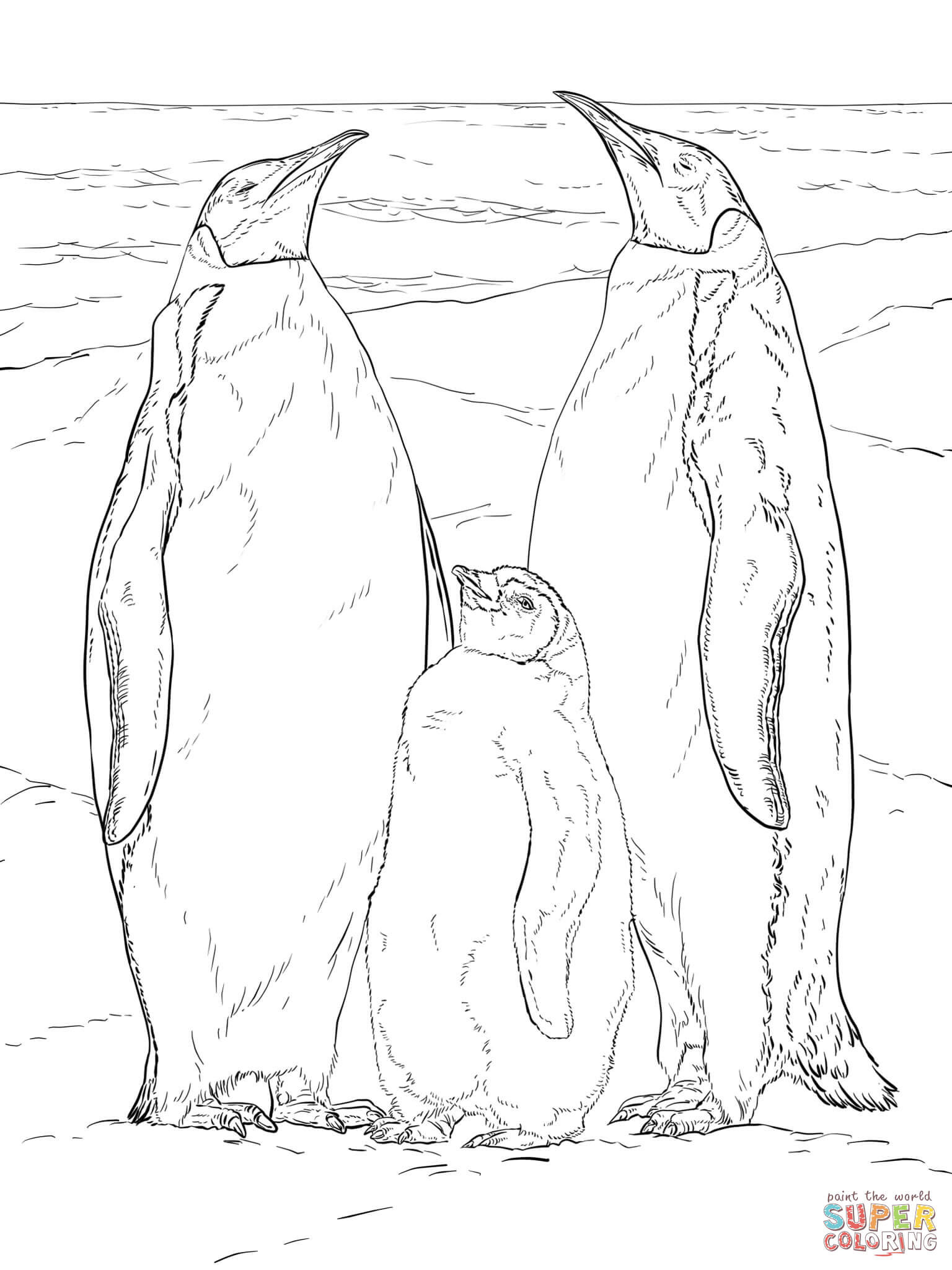 Emperor Penguin coloring #3, Download drawings