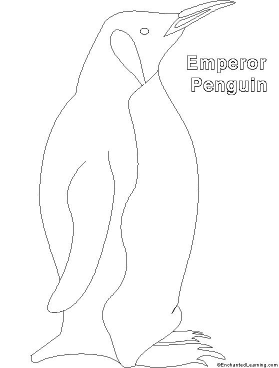 Emperor Penguin coloring #4, Download drawings