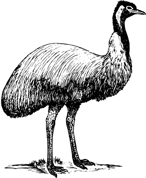 Emu svg #16, Download drawings