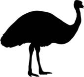 Emu clipart #9, Download drawings
