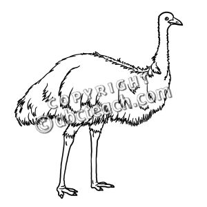 Emu clipart #10, Download drawings