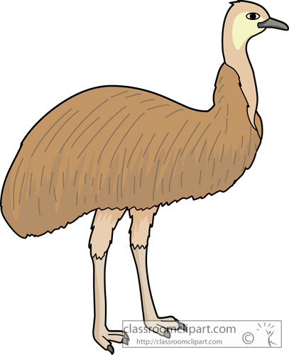 Emu clipart #19, Download drawings