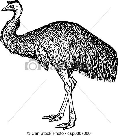 Emu clipart #13, Download drawings