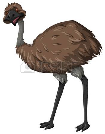 Emu clipart #11, Download drawings