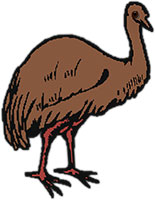 Emu clipart #1, Download drawings
