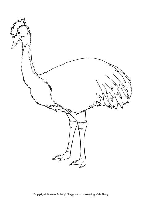Emu coloring #12, Download drawings
