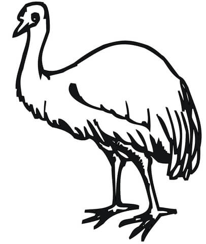 Emu coloring #17, Download drawings