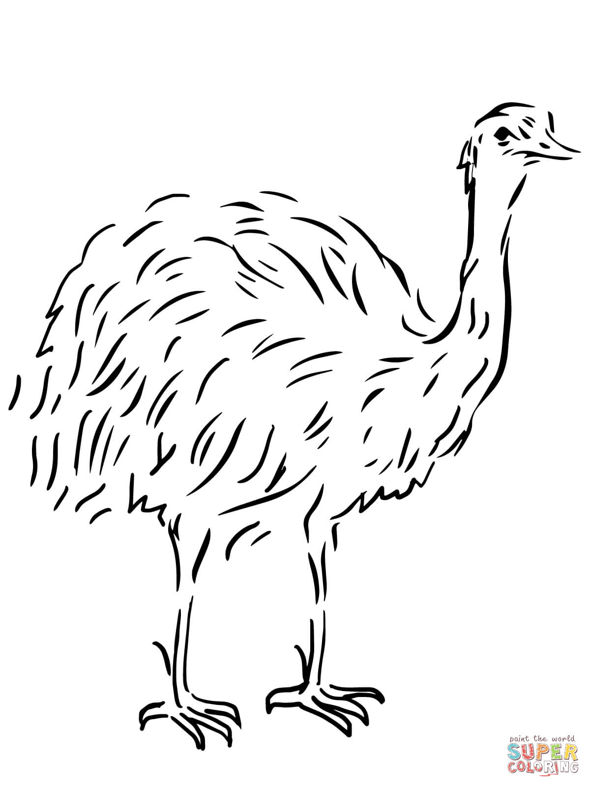 Emu coloring #15, Download drawings