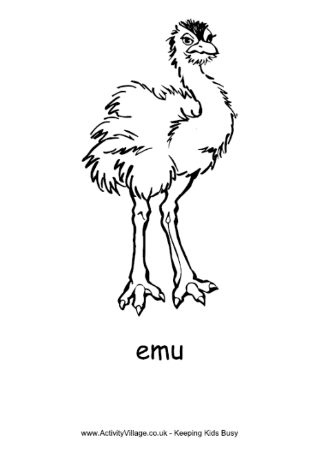 Emu coloring #16, Download drawings