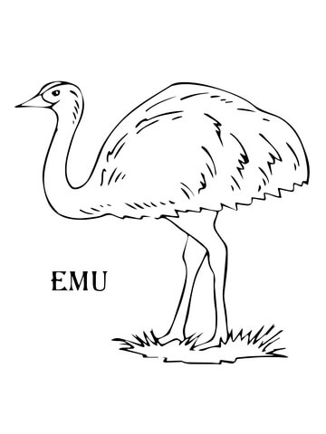 Emu coloring #11, Download drawings