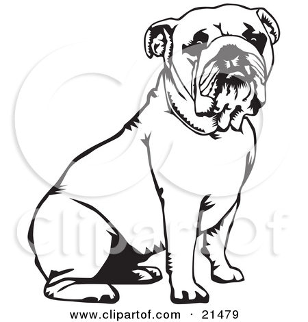 English Bulldog clipart #13, Download drawings