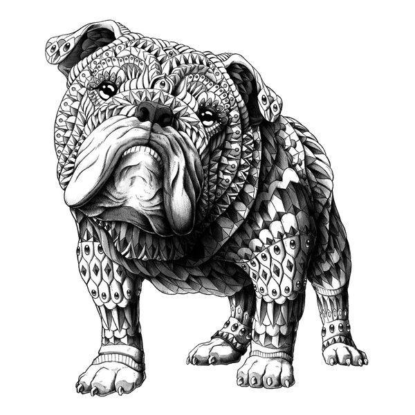English Bulldog coloring #15, Download drawings