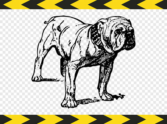 English Bulldog svg #8, Download drawings