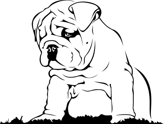 English Bulldog svg #4, Download drawings