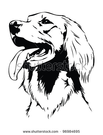 English Setter svg #5, Download drawings