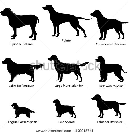 English Setter svg #17, Download drawings