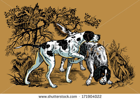 English Setter svg #15, Download drawings