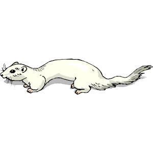 Ermine clipart #19, Download drawings