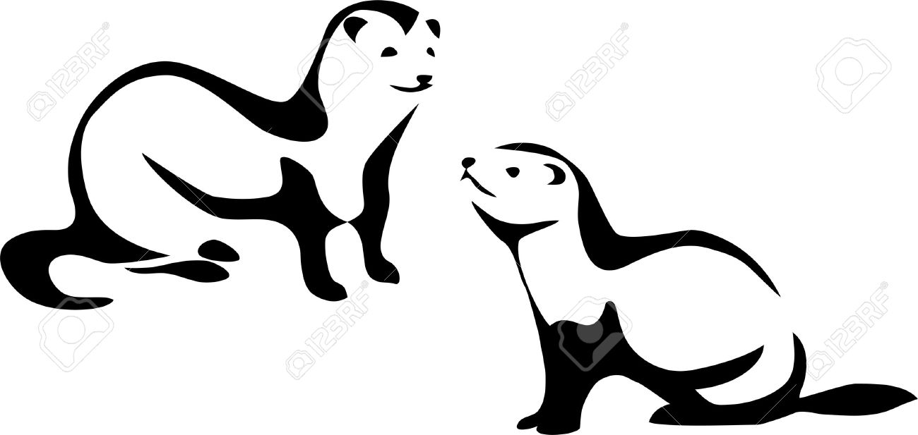 Ermine clipart #9, Download drawings