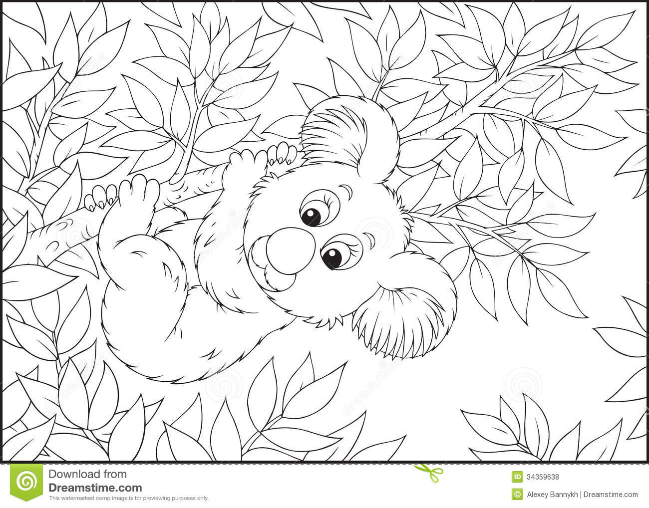 Eucalyptus coloring #13, Download drawings