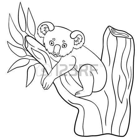 Eucalyptus coloring #7, Download drawings