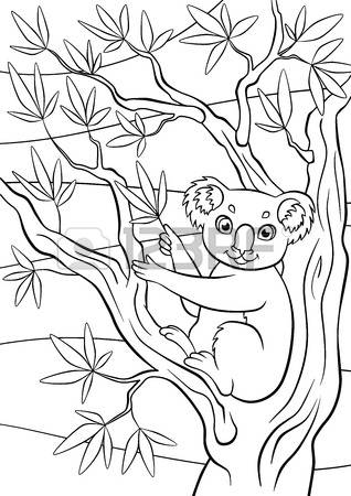 Eucalyptus coloring #18, Download drawings