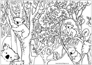 Eucalyptus coloring #19, Download drawings