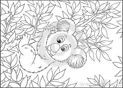 Eucalyptus coloring #16, Download drawings