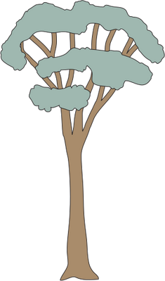 Eucalyptus Gum Tree svg #17, Download drawings