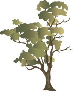 Eucalyptus Gum Tree svg #14, Download drawings
