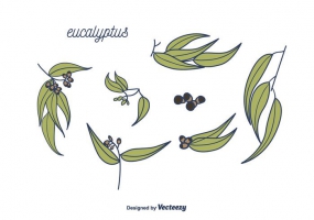 Eucalyptus svg #12, Download drawings