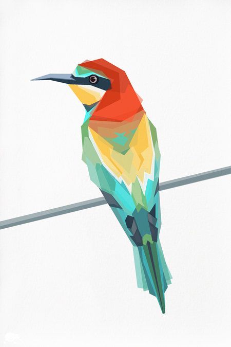 European Bee-eater coloring #10, Download drawings