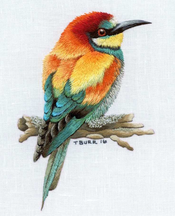 European Bee-eater svg #5, Download drawings