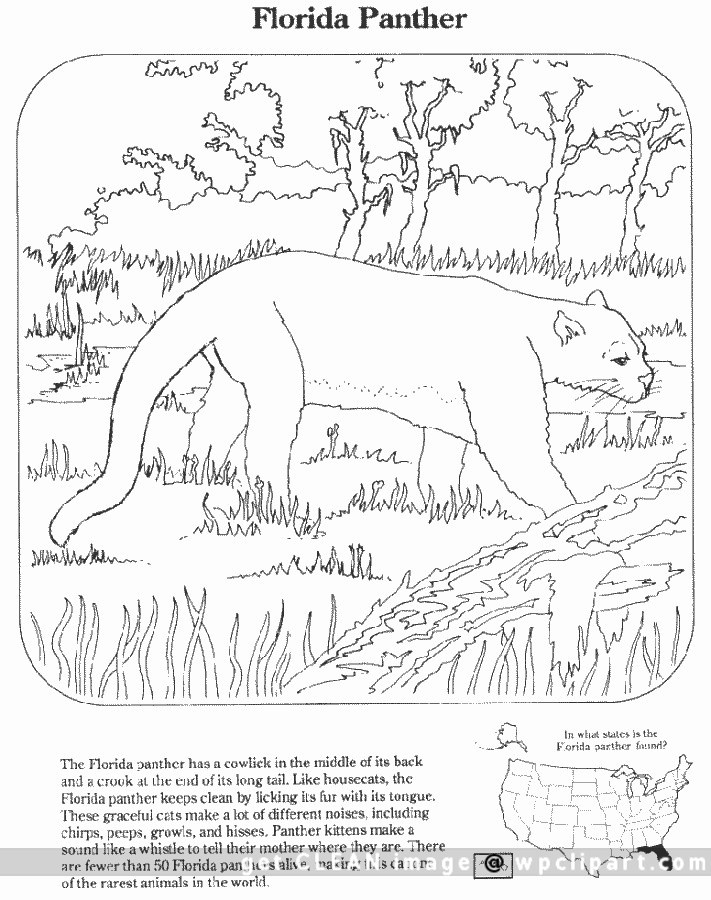 Everglades coloring #12, Download drawings
