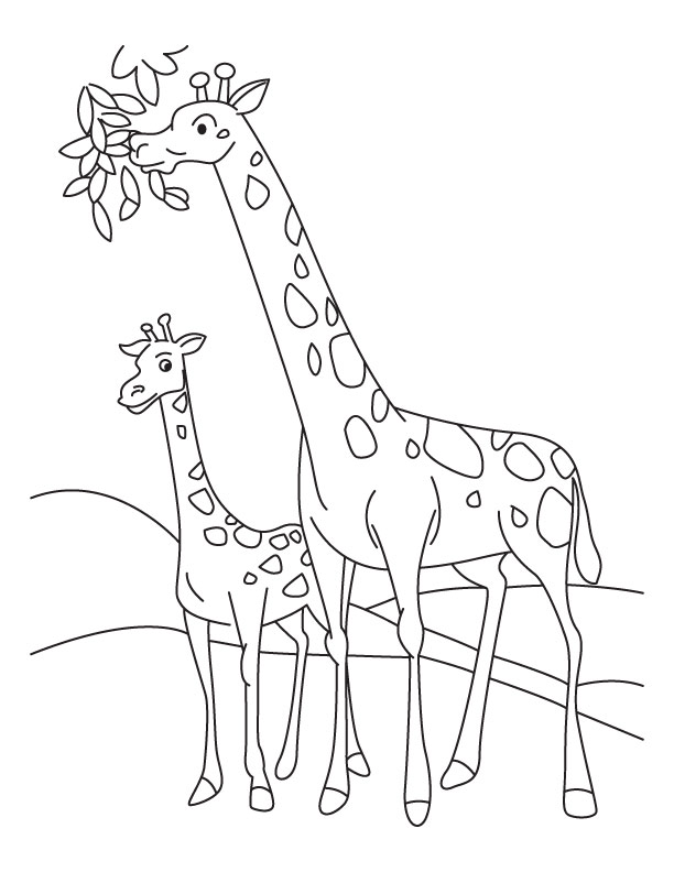 Giraffe coloring #15, Download drawings