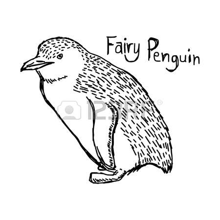 Fairy Penguin clipart #2, Download drawings