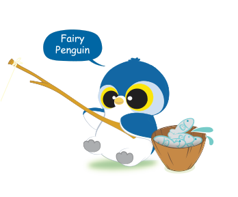 Fairy Penguin clipart #7, Download drawings