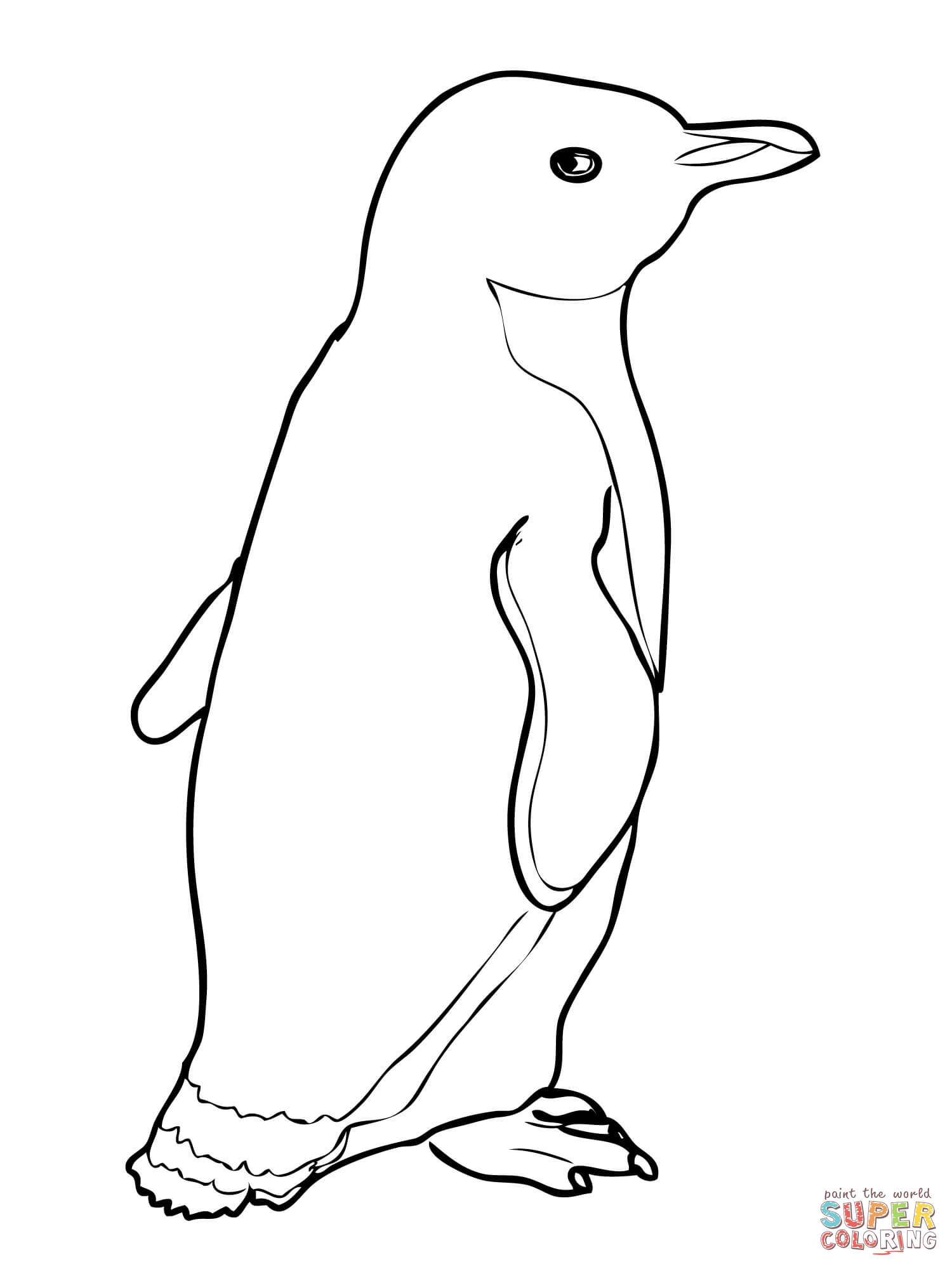 Fairy Penguin coloring #10, Download drawings