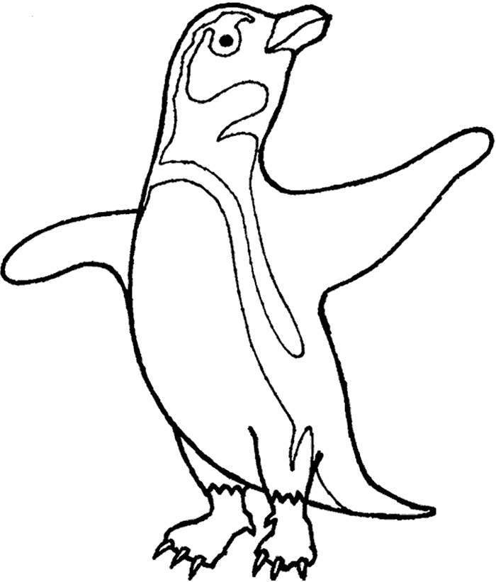 Fairy Penguin coloring #5, Download drawings
