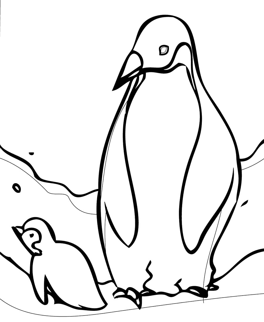 Penguin coloring #11, Download drawings